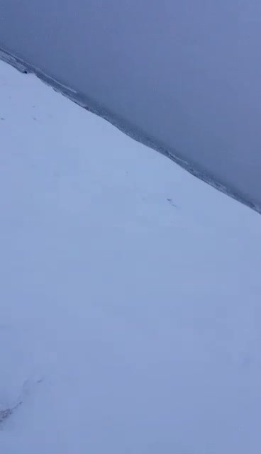 Къпане в леденото море в Литва