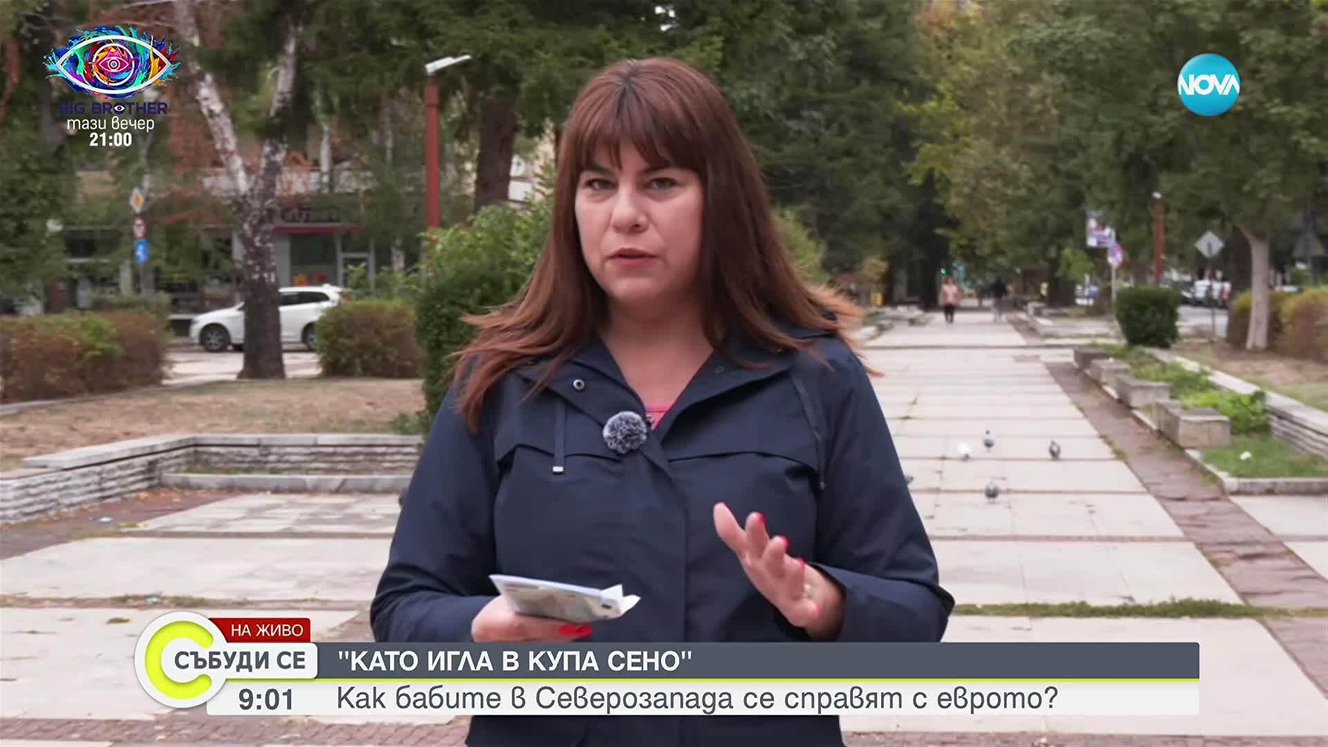 Познават ли бабите в Северозапада еврото сред другите валути