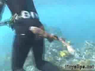 Акула Бебе Хапе Водoлаз По Дупето !! Смях