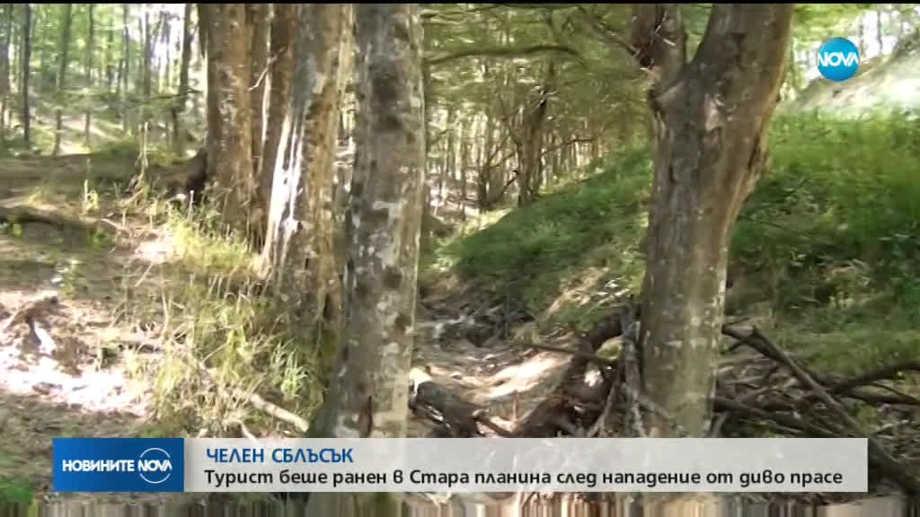 Новините на NOVA (12.08.2019 - 8.00 ч.)
