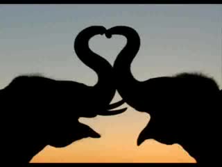 Whitney Houston - I Will Always Love You