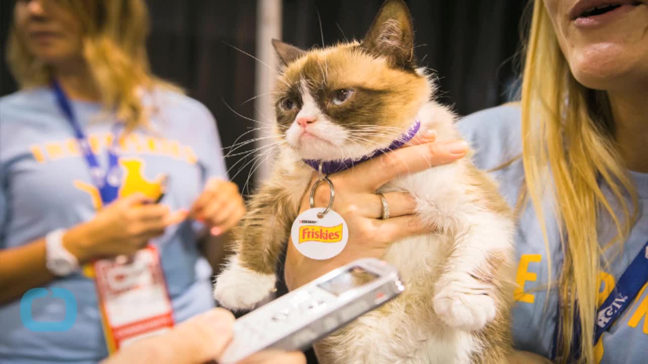 Meet the Artist Who Made a Grumpy Cat Bust Out of Bacon