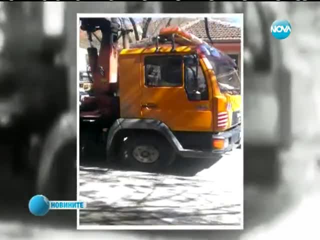 Паяк потроши колата на пловдивчанин