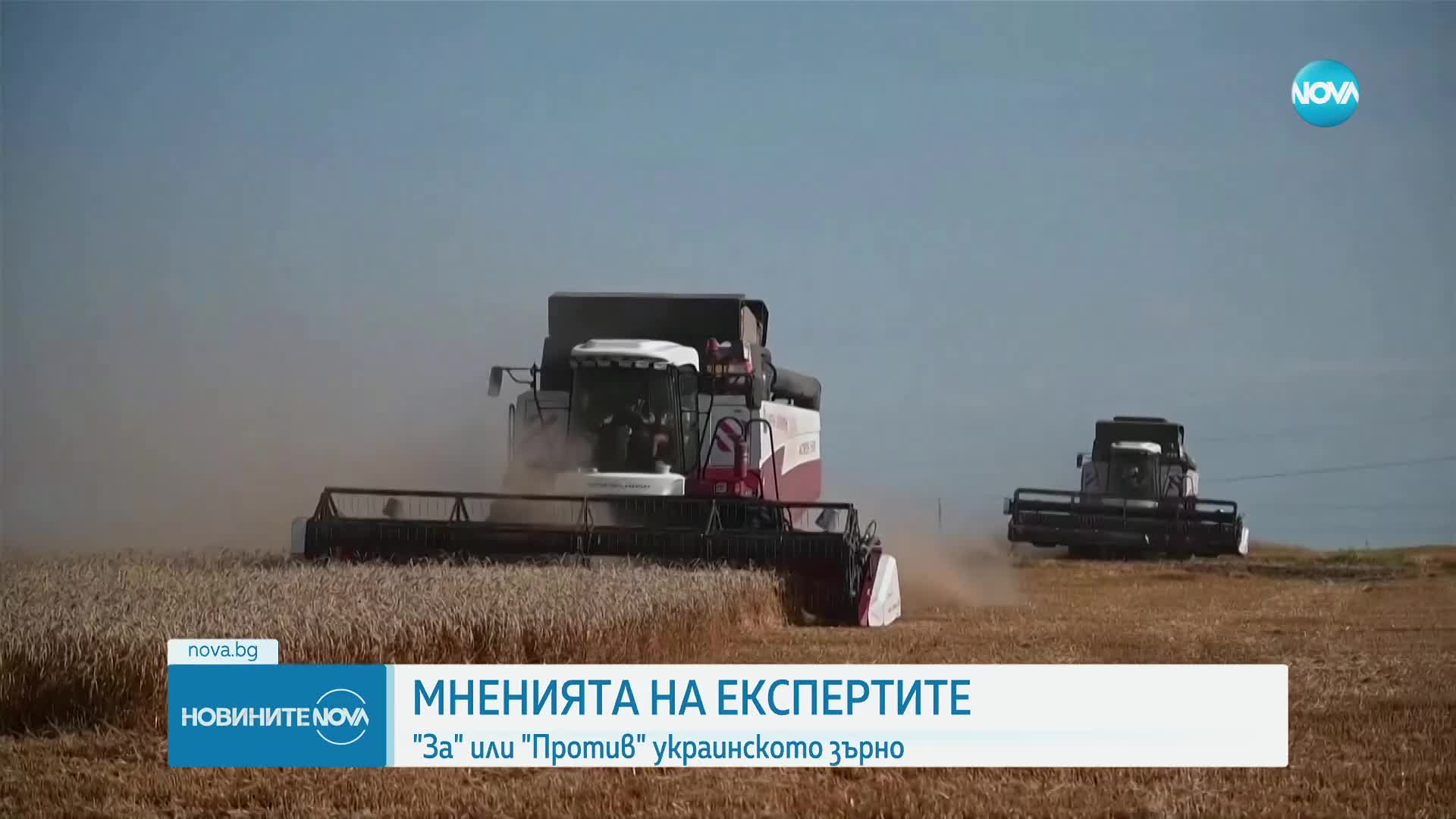 МНЕНИЯТА НА ЕКСПЕРТИТЕ: "За" или "Против" украинското зърно