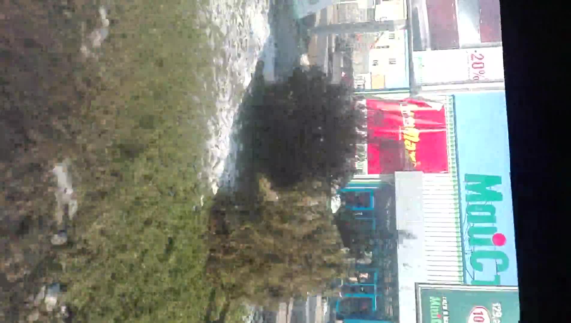 Автобусът на ужасите