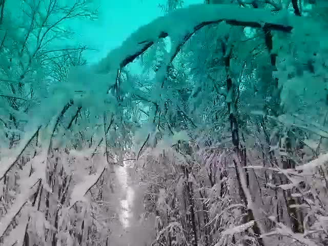 Зима в Русе
