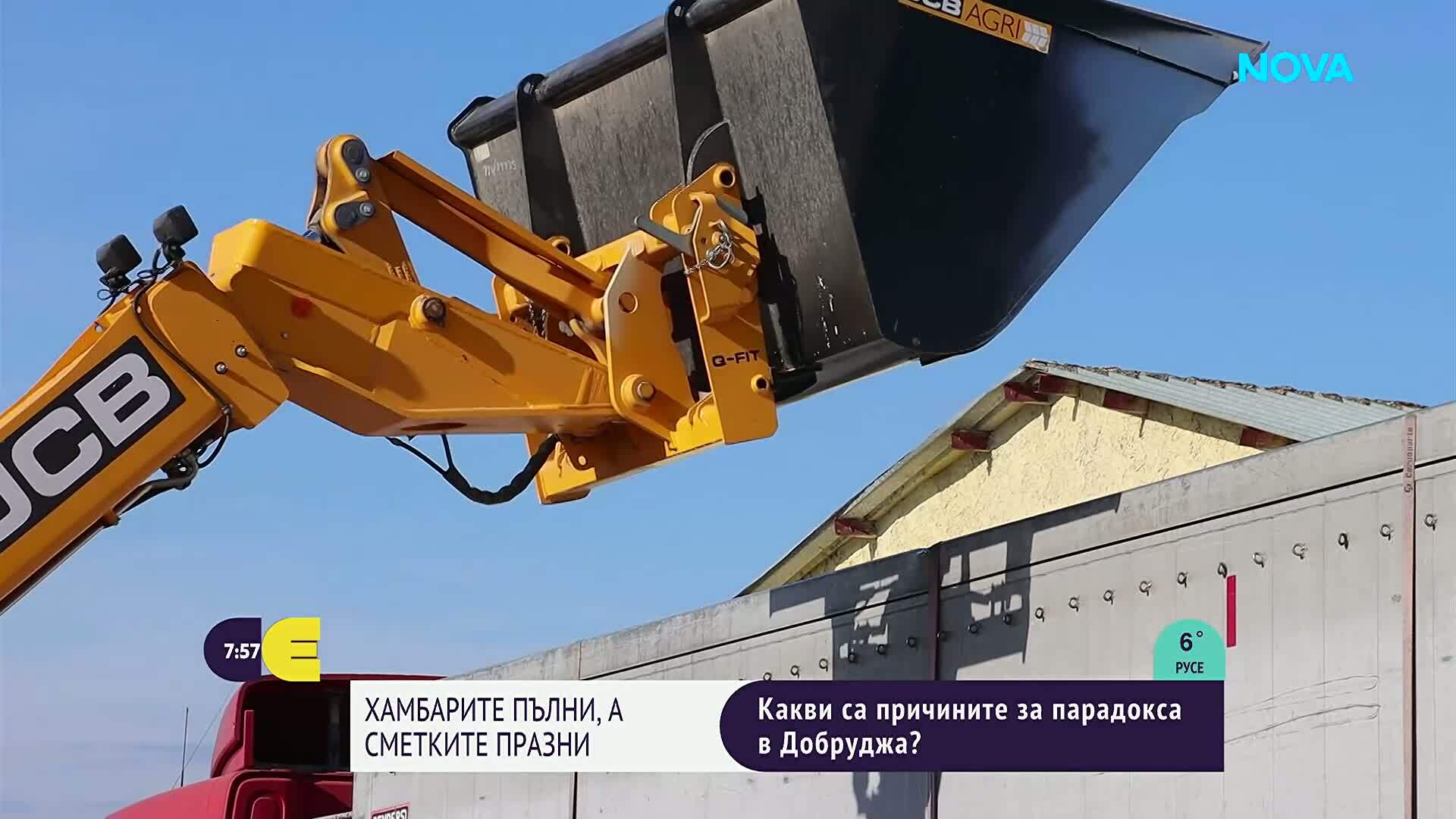Реколтата е добра, но сметките не излизат: Какво тревожи зърнопроизводителите