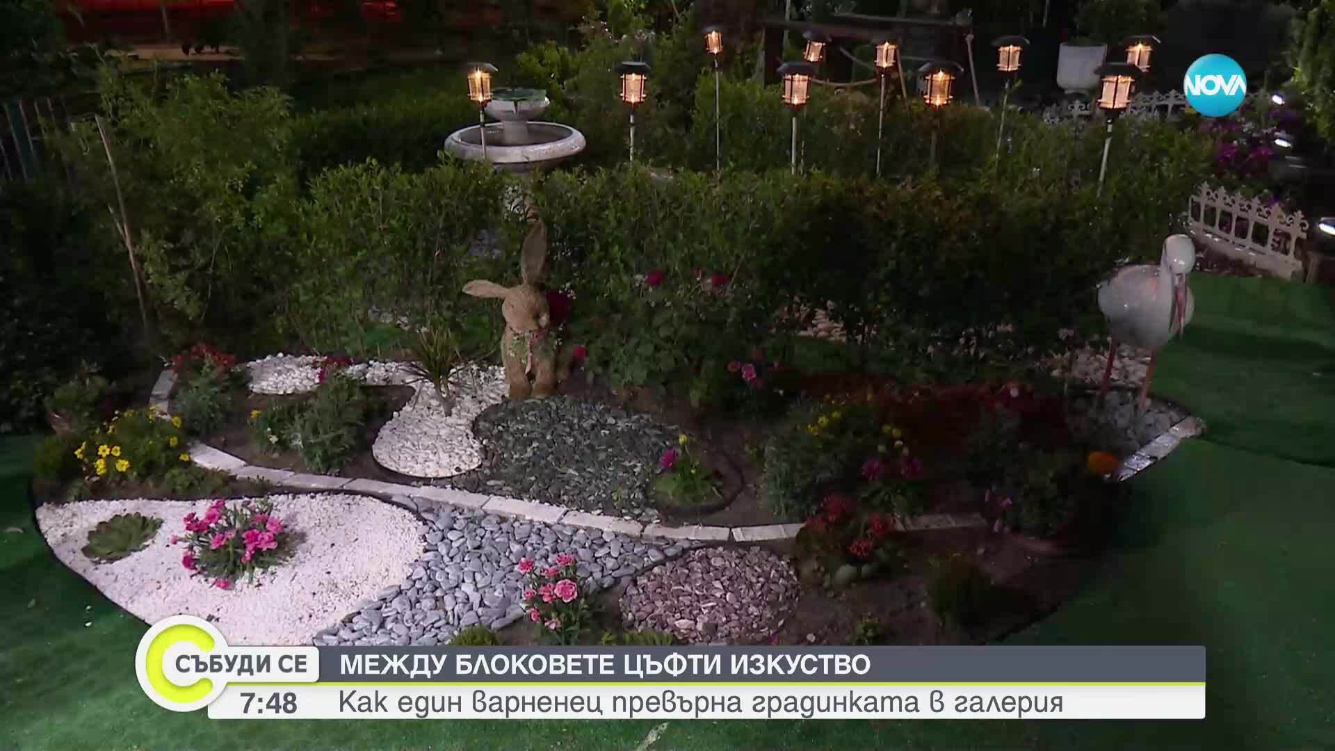 Как един варненец превърна градинката пред блока в рай