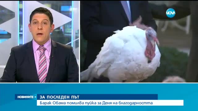 ЗА ПОСЛЕДЕН ПЪТ: Барак Обама помилва пуйка за Деня на благодарността