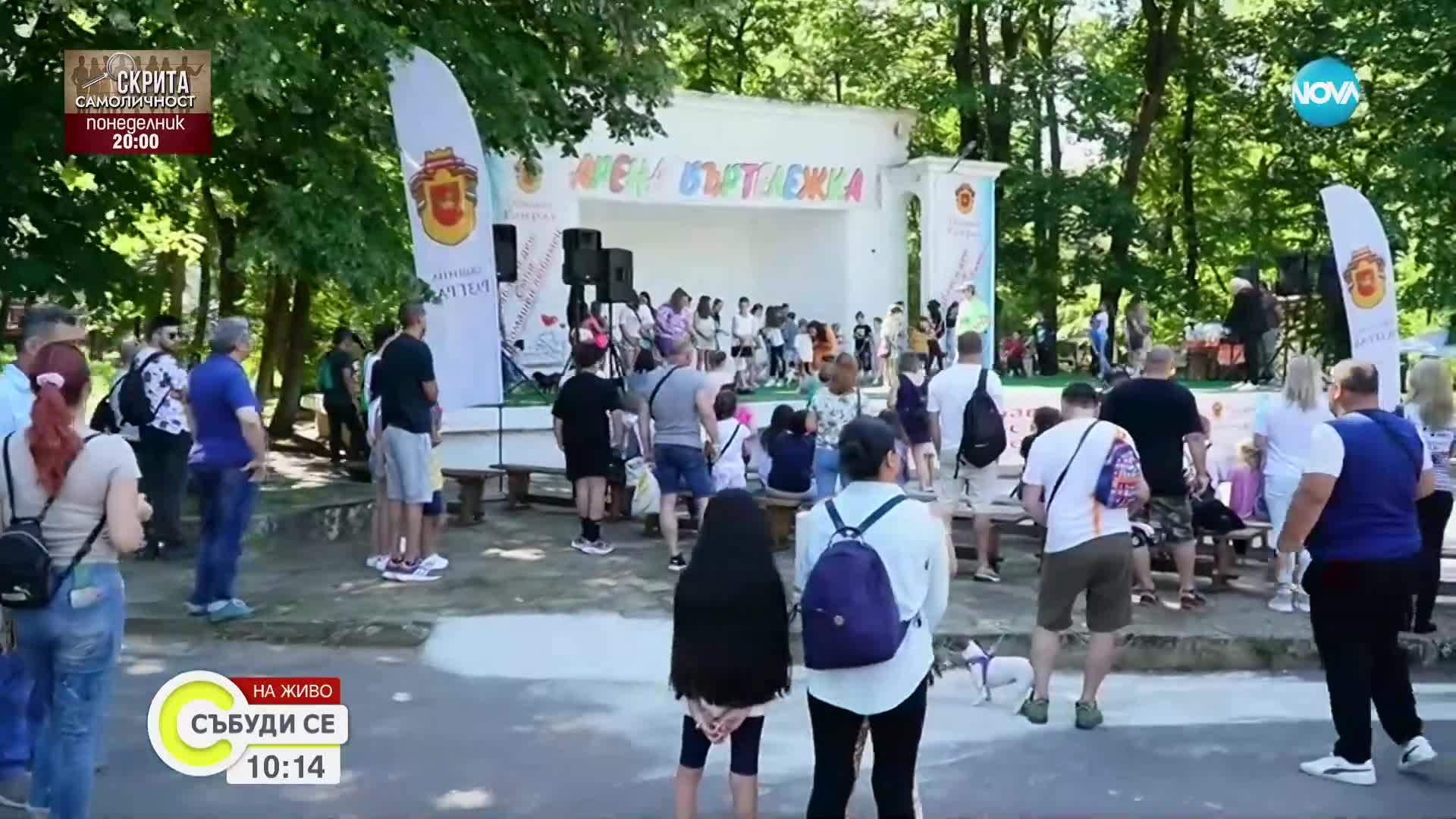 Изложба на домашни любимци: Как в Разград ще отбележат 1 юни