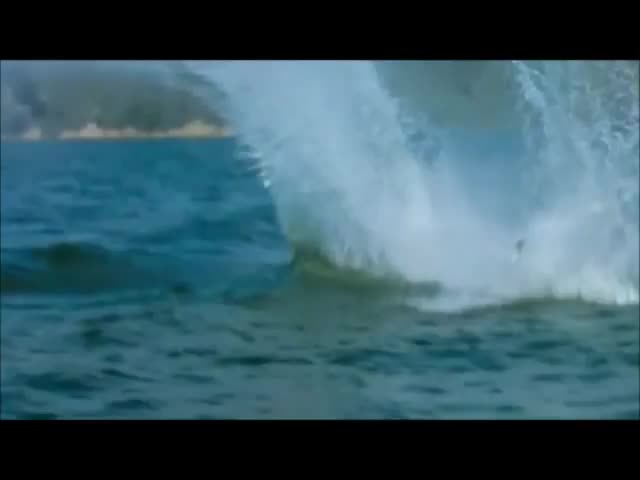 Почина звездата от Jackass "ryan Dunn" Rip!!!