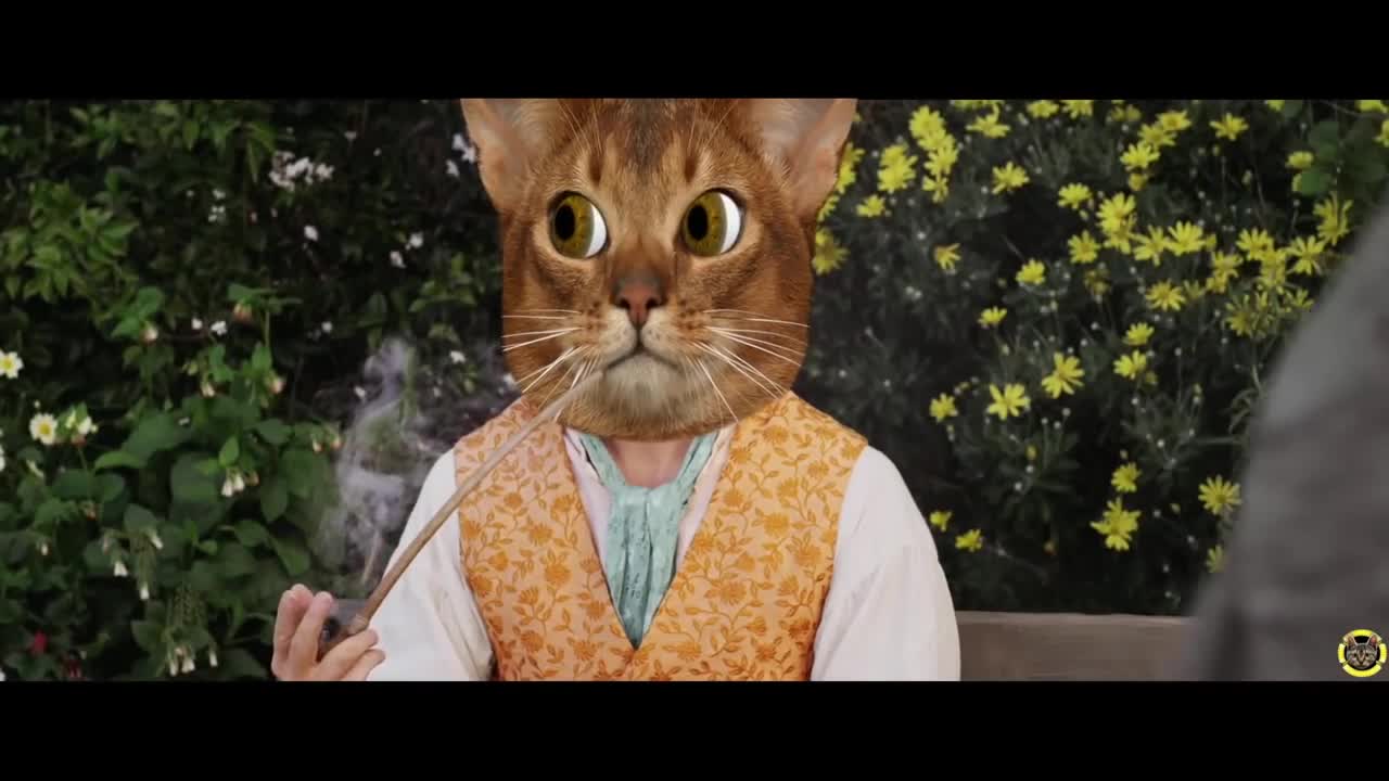 Котки: Неочаквано пътешествие ~ Хобитрейлър # The Hobbit Trailer Cats - Peter Jackson Lotr (2012) Hd