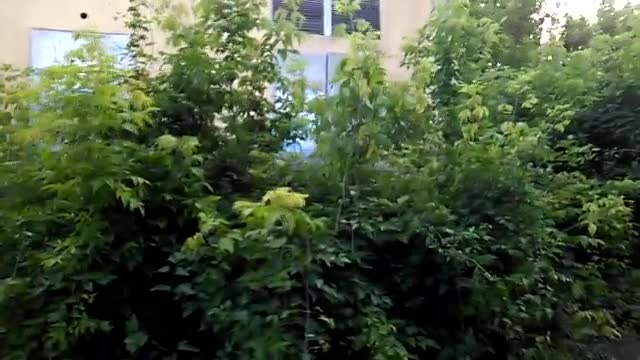 Как изглежда един тротоар в Горна Оряховица