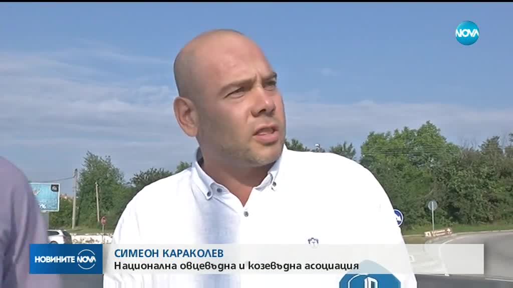 Новините на NOVA (13.07.2018 - обедна емисия)