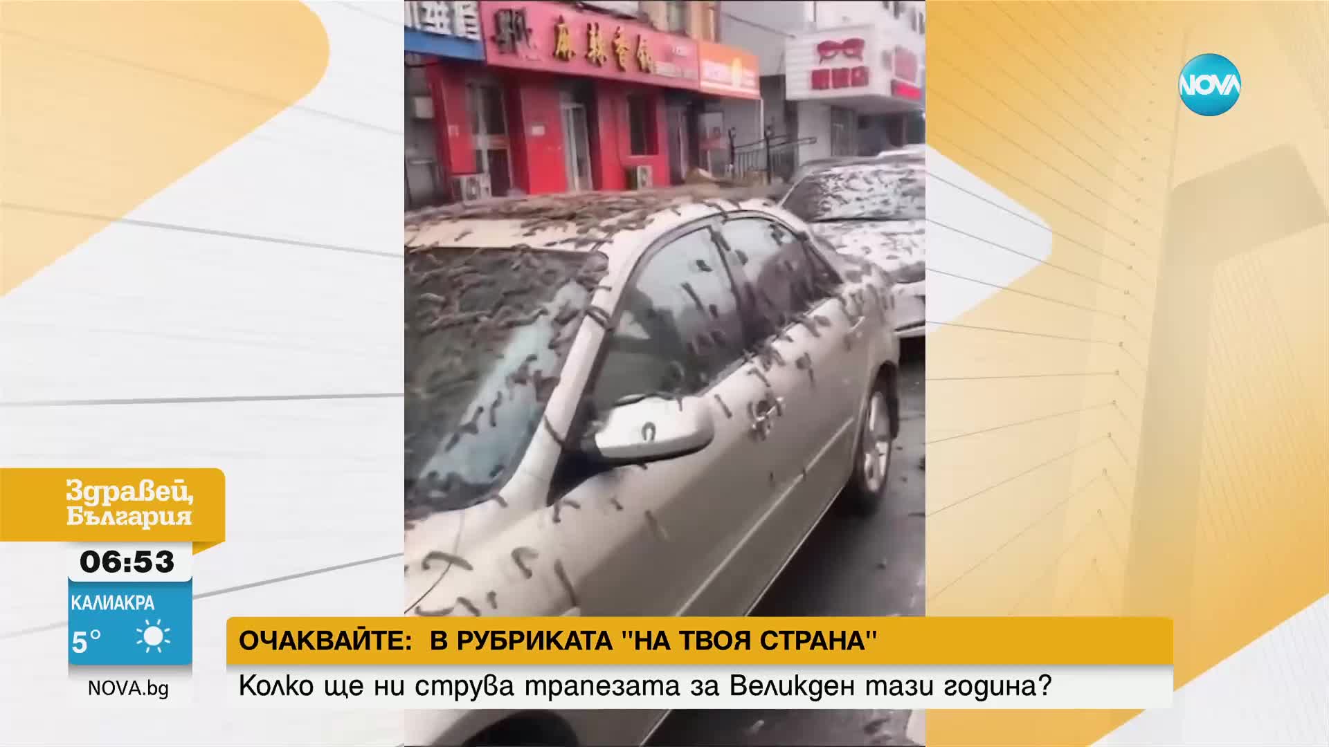"Дъжд от червеи" вали от небето над Пекин