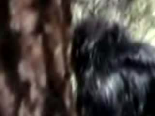 что такое йети фото онлайн что такое йети фото