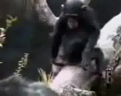 Смях До Скъсване