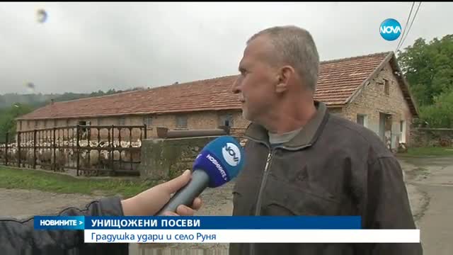 Градушка като лешник удари дряновско село