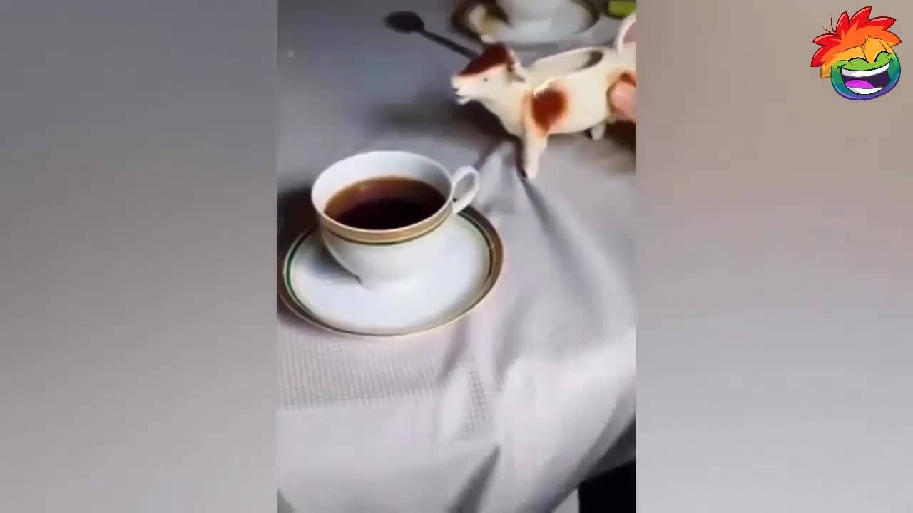 Мега забавни смешки - Много смях