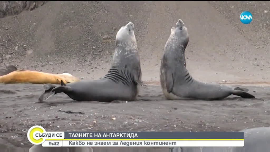 ТАЙНИТЕ НА АНТАРКТИДА: Говори проф. Христо Пимпирев