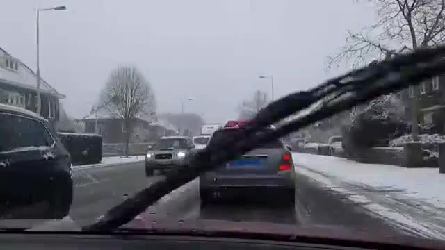 "Моята новина": Сняг в Холандия
