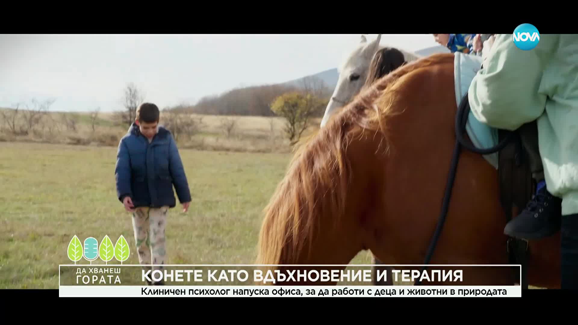 Да хванеш гората (30.11.2025)