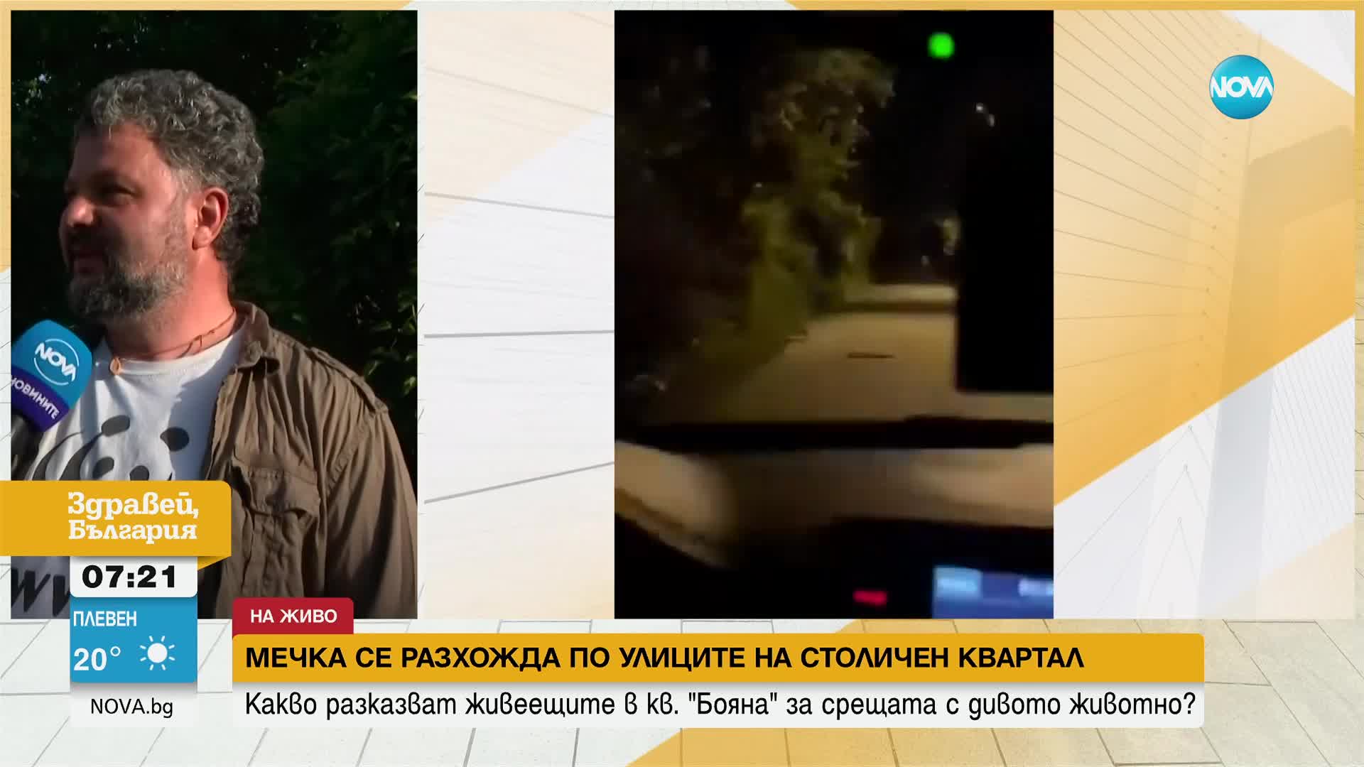 Мечка се разходи из столичния квартал „Бояна”