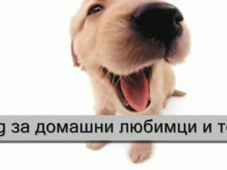 Форум За Домашни Любимци Bgdogsbase