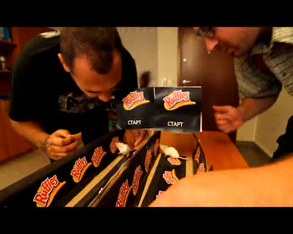 Ruffles Challenge Мишки