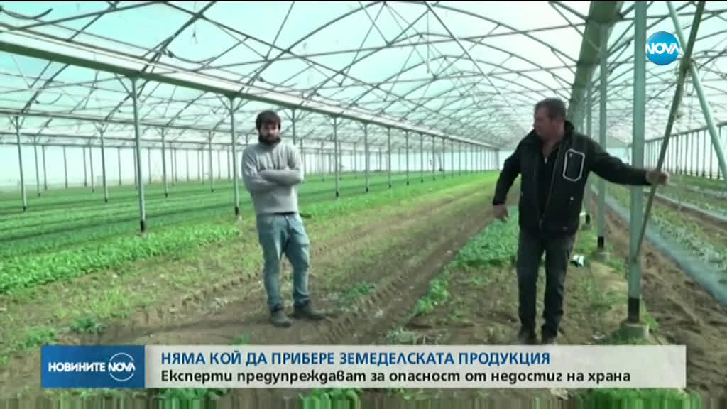 Новините на NOVA (02.04.2020 - обедна емисия)