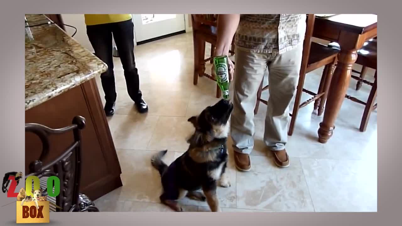 Когато животните са пияни от #любов! :)