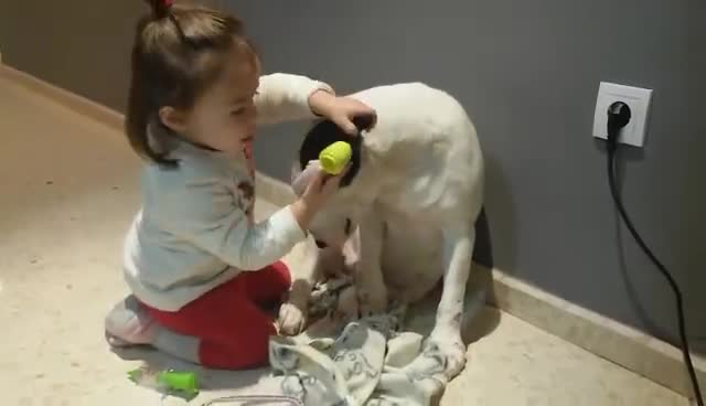 Дете преглежда куче