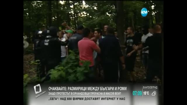 В печата: Румънци във фолио плячкосват по моловете