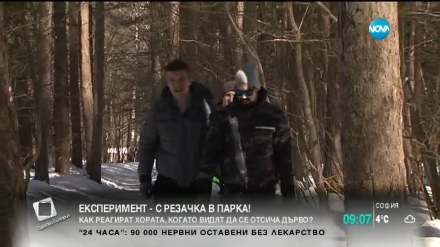 Как реагират хората, когато видят човек с резачка в природен парк?