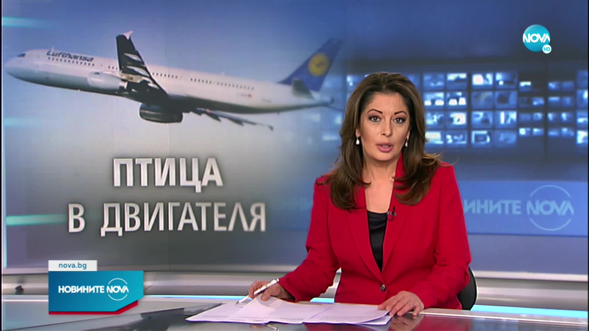 Самолет не успя да излети от летище София заради птици в двигателя