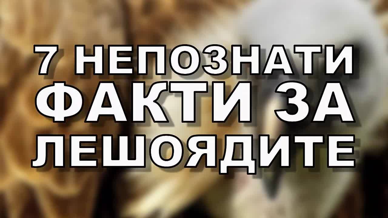 7 непознати факти за лешоядите