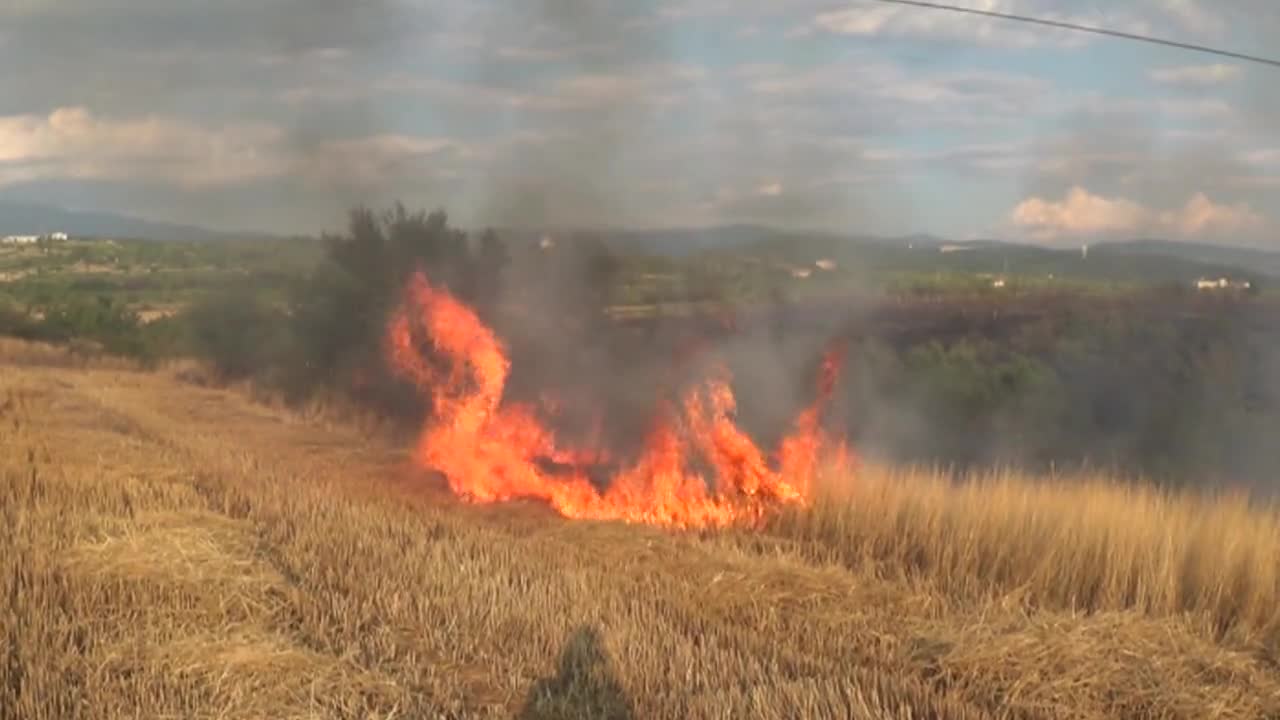 Пожар обхвана лозя край Благоевград