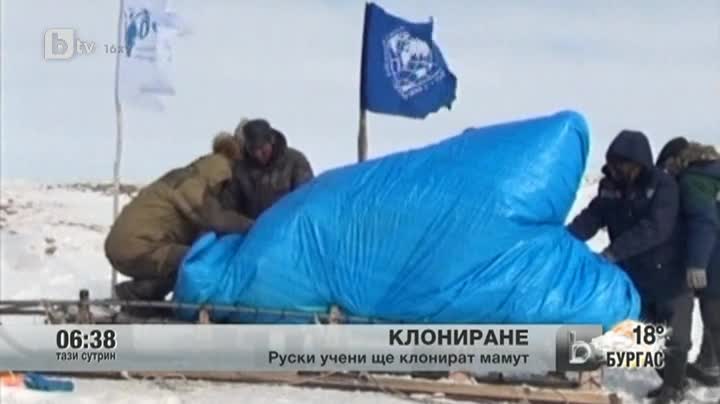 Учени извлякоха напълно запазени кръв и тъкан от мамут