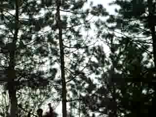 Есктремно Махало В приказката Край Враца