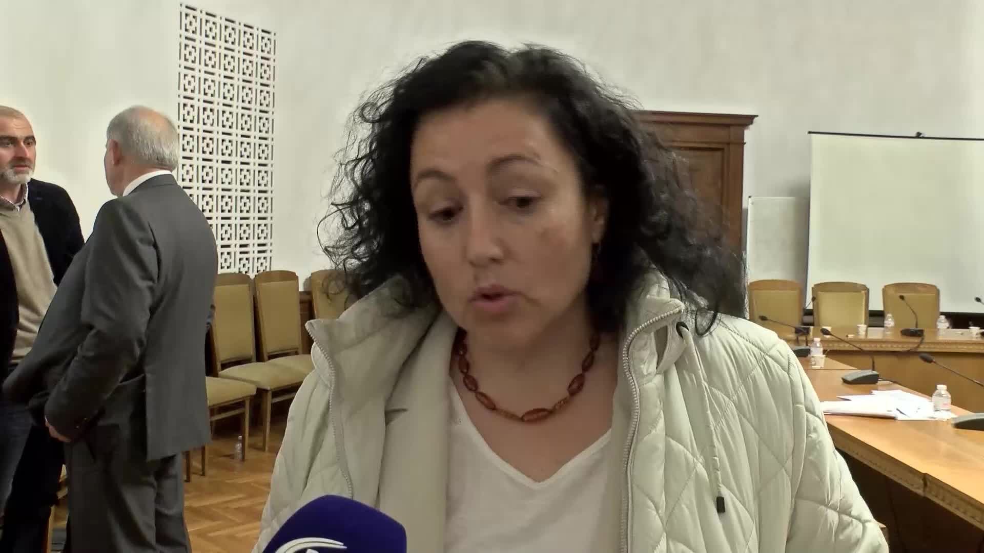 Десислава Танева: Правителството може да продава държавна земя и сега