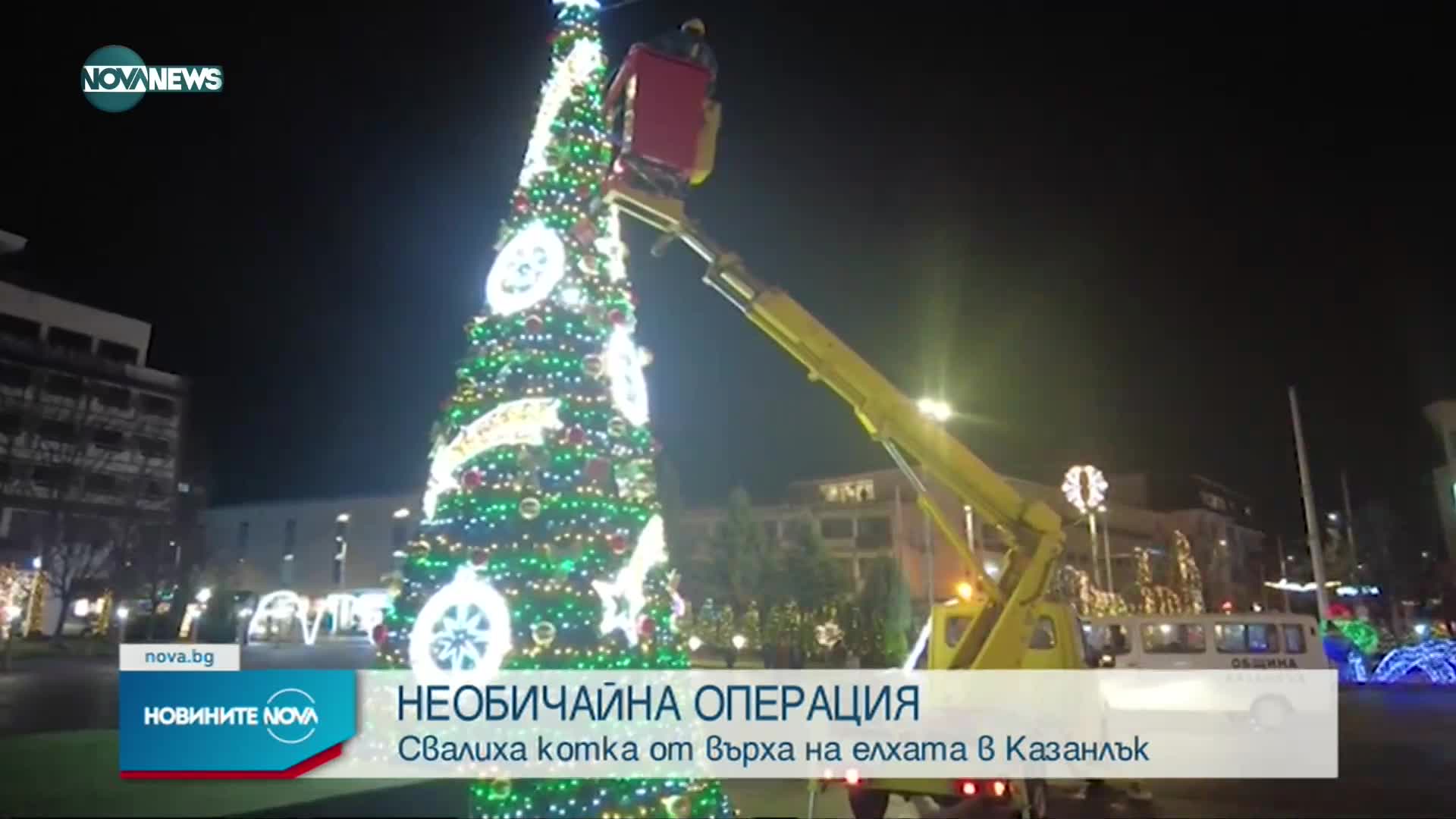Спасиха коте, качило се на коледната елха в Казанлък