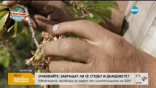 Земеделци протестират срещу еднодневните договори