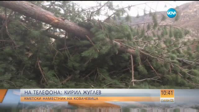 Отсечено дърво блокира движението между две села