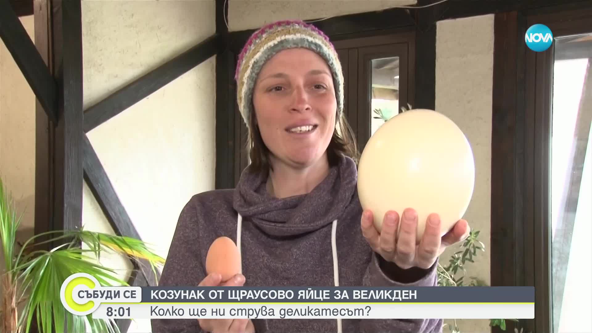 Възможно ли е да се направи козунак с яйце от щраус