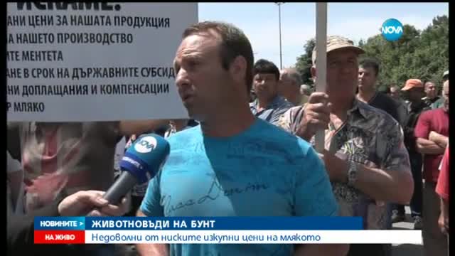 Животновъди протестират с разлято мляко на пътя