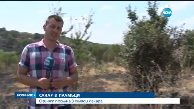 Голям пожар гори между две свиленградски села