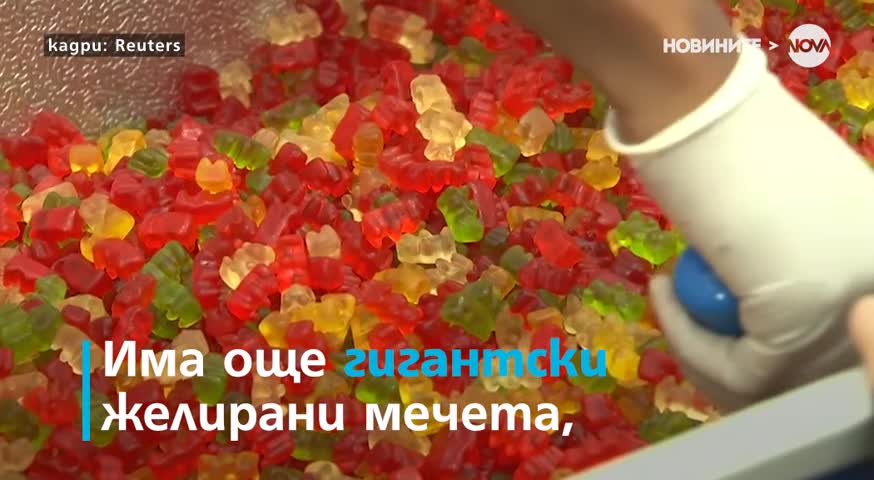 Къде се намира музеят, в който всички могат да хранят?