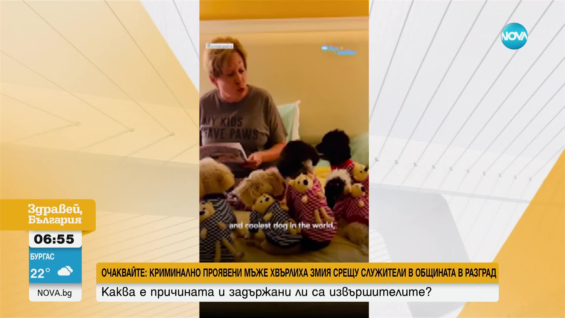 За лека нощ Стопанка всяка нощ чете приказки на кучетата си