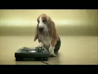 Куче Прави Beatbox