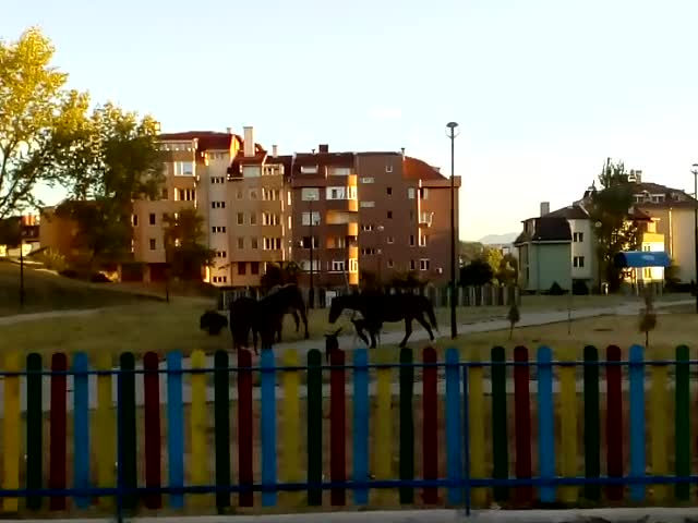 Парк в жк. “Еленово“ в Благоевград